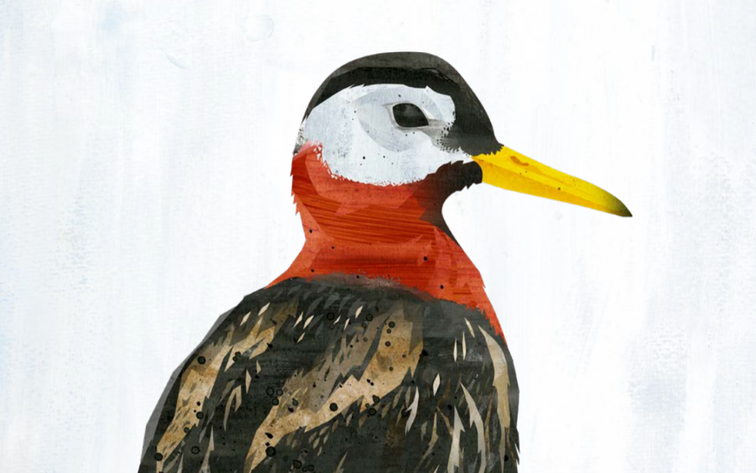 ᓄᑕᖅᑲᓄᑦ ᐅᖃᓕᒫᒐᖅ ᐅᑭᐅᖅᑕᖅᑐᒥ ᑎᖕᒥᐊᑦ